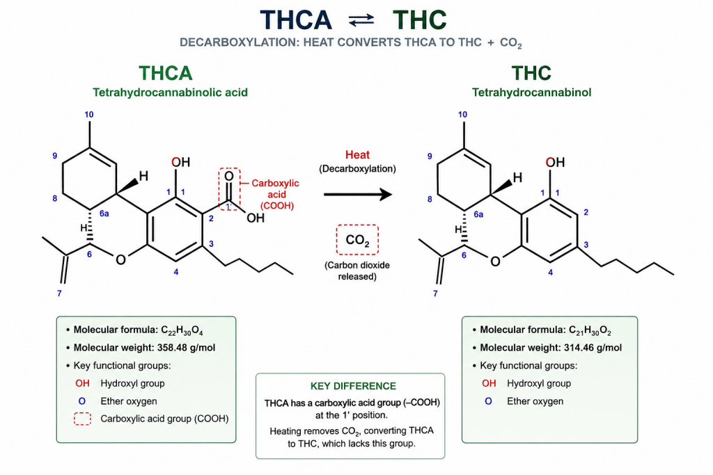 thca@won@1@thca@won@1@6F999F72-B6F0-422D-8ECF-4F1CAC79BB57