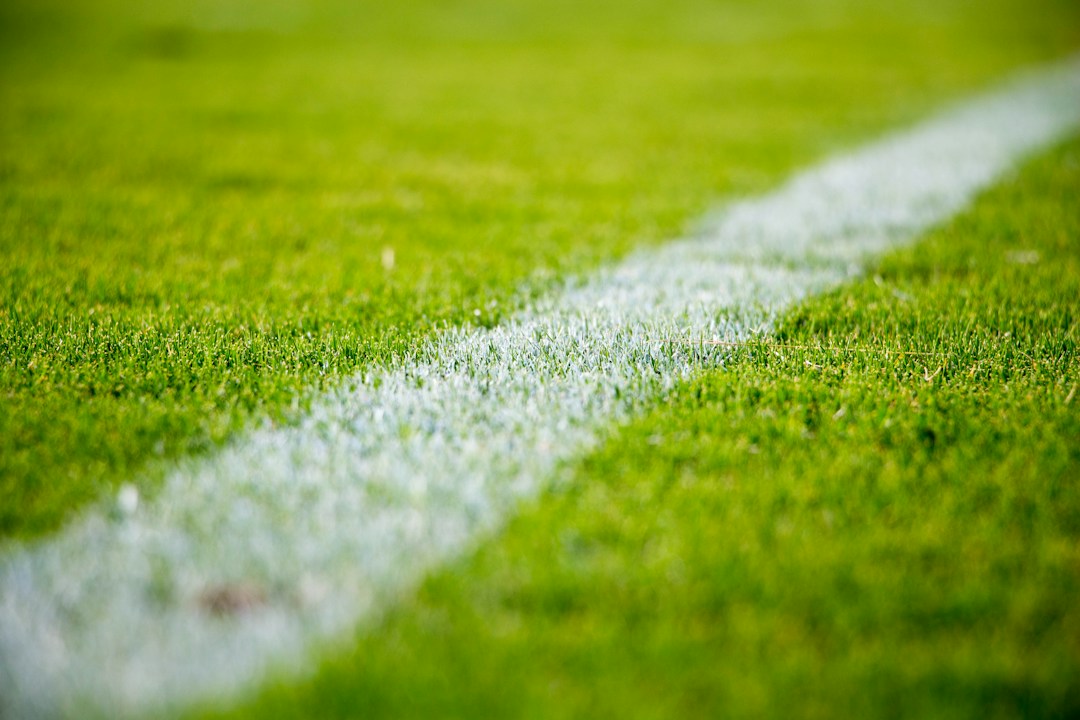 White football pitch line on grass