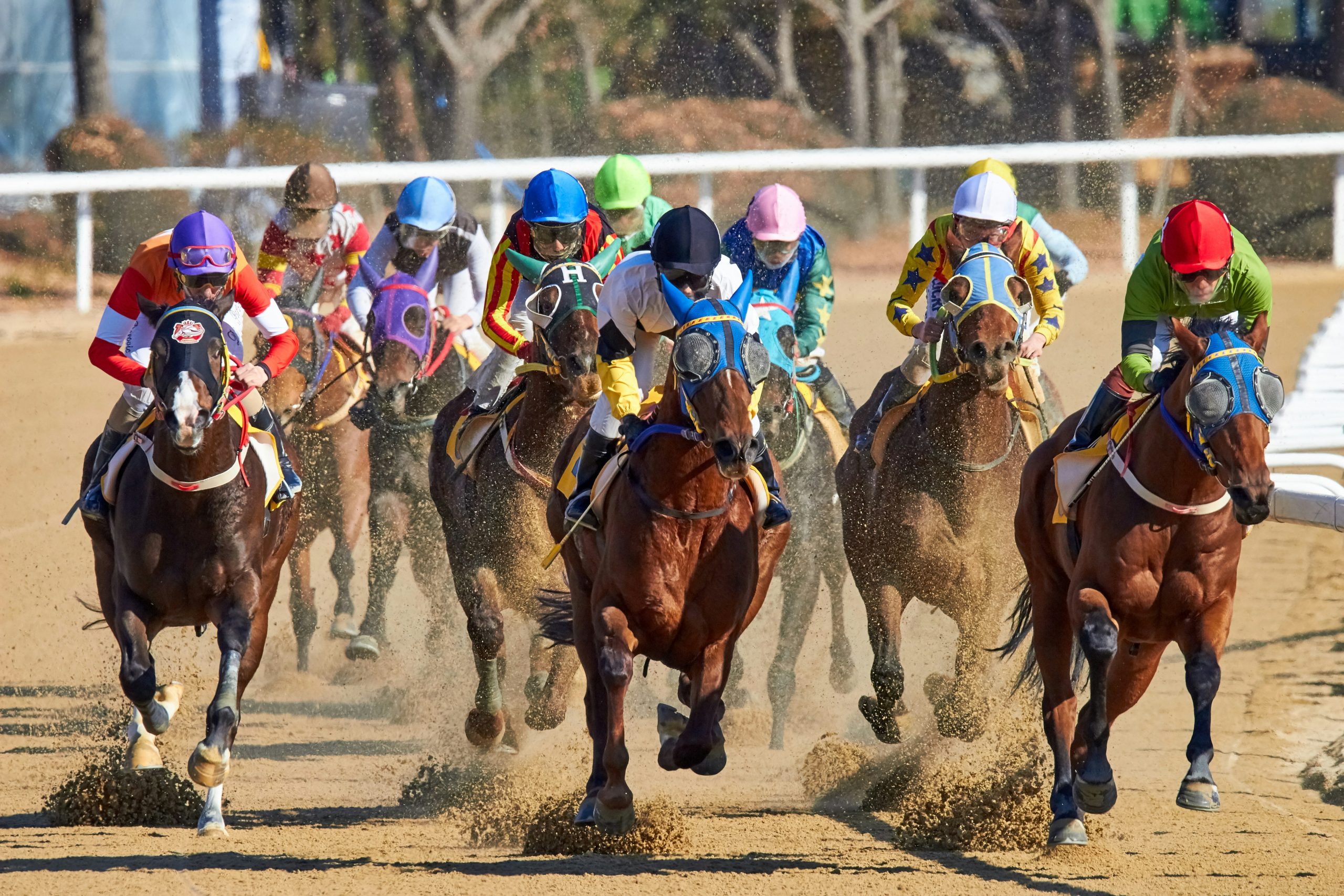 Windsor Racecourse Monday 7 September 2026: Race Preview, Tips, Runners, Odds & Ticket Prices